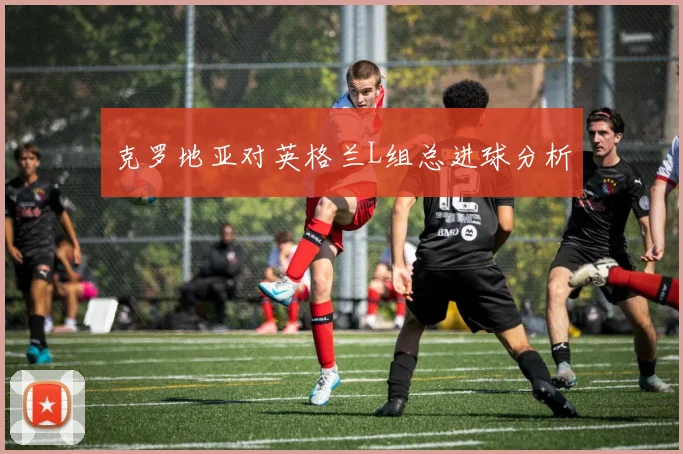 克罗地亚对英格兰L组总进球分析