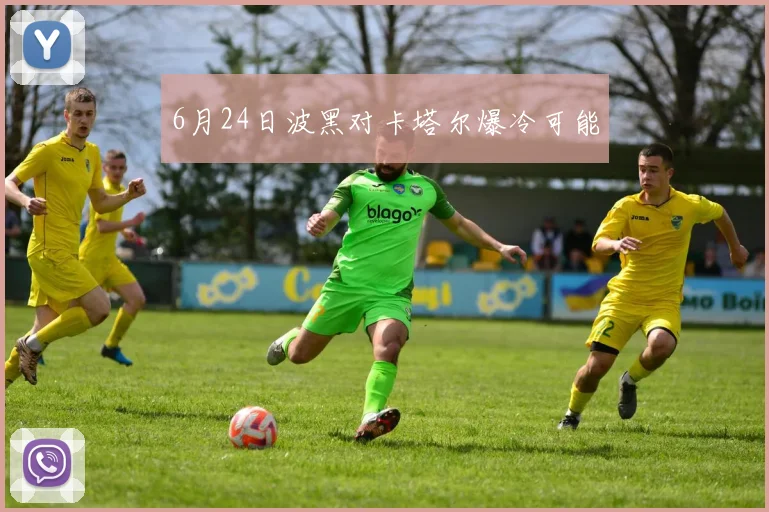 6月24日波黑对卡塔尔爆冷可能