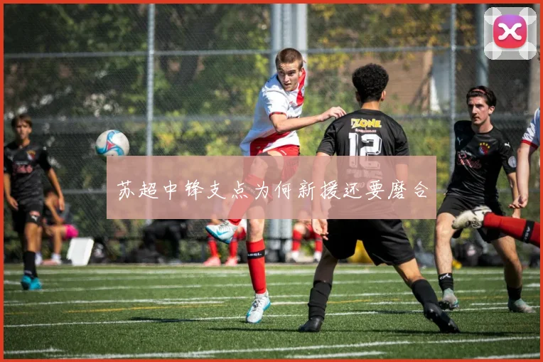 苏超中锋支点为何新援还要磨合